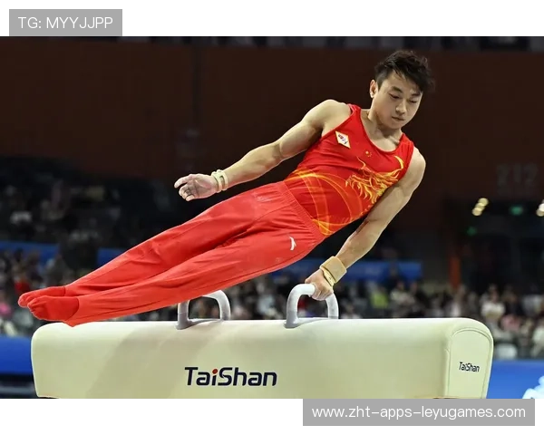 体操鞍马选手全程稳定无明显瑕疵